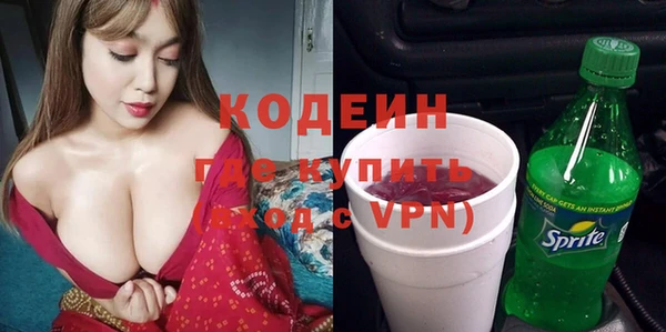 ГАЛЛЮЦИНОГЕННЫЕ ГРИБЫ Пестово