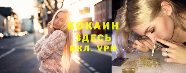 дмт Абаза