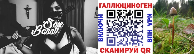 продажа наркотиков  мориарти наркотические препараты  KRAKEN зеркало  Псилоцибиновые грибы GOLDEN TEACHER  Исилькуль 