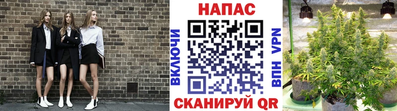 Шишки марихуана марихуана  купить  сайты  Исилькуль 